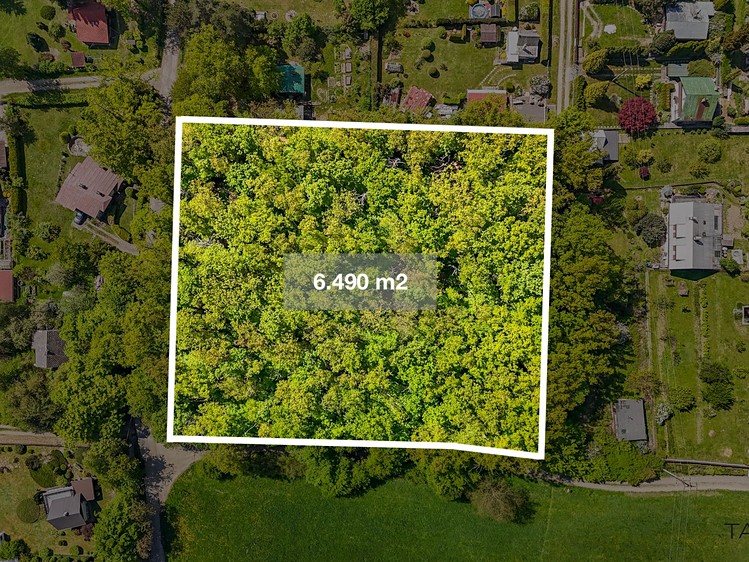 Prodej lesa 6 490 m² - foto 3