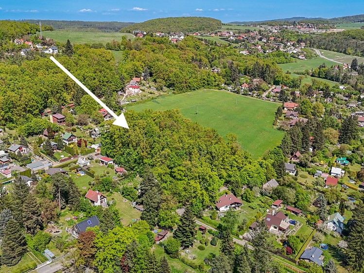 Prodej lesa 6 490 m² - foto 6