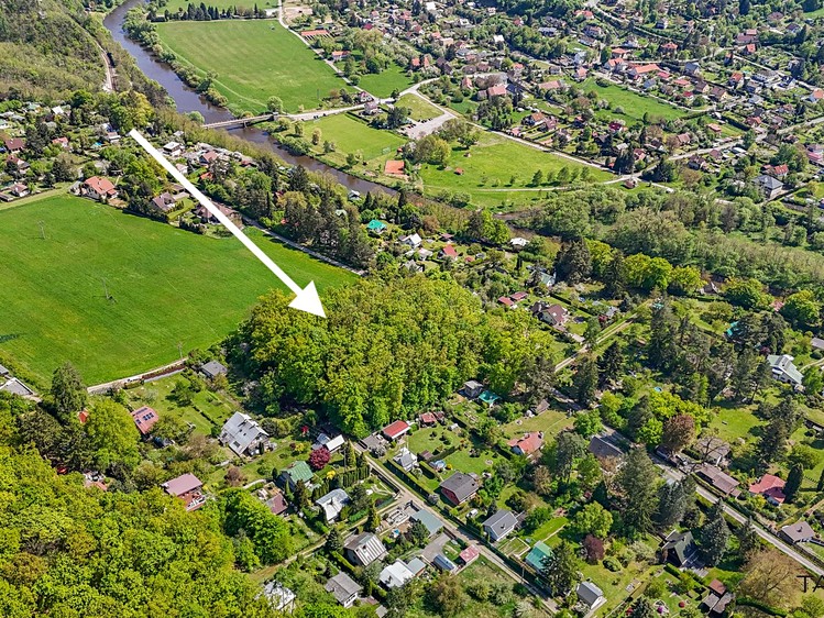 Prodej lesa 6 490 m² - foto 5