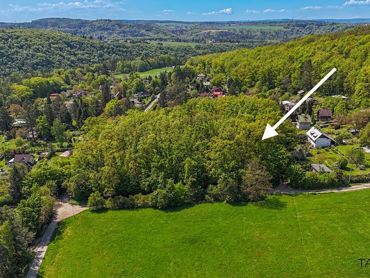 Prodej lesa 6 490 m² - foto 7