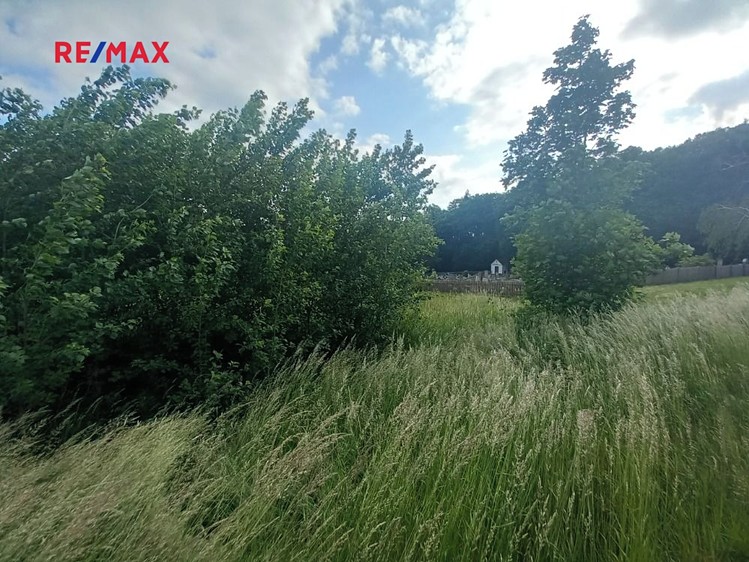 Prodej pole 17 750 m² - foto 4