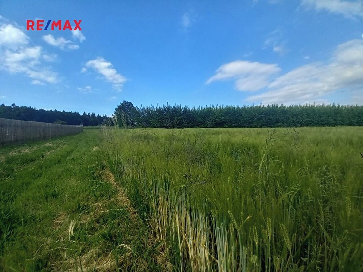 Prodej pole 17 750 m² - foto 7
