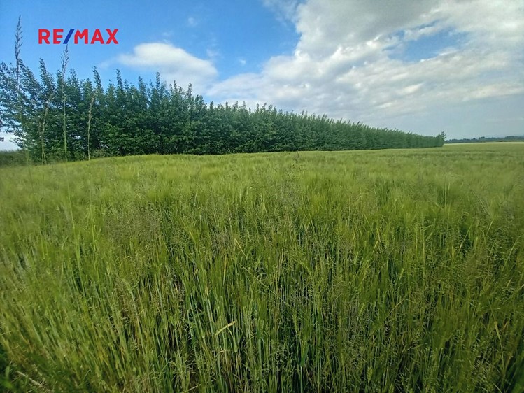 Prodej pole 17 750 m² - foto 5