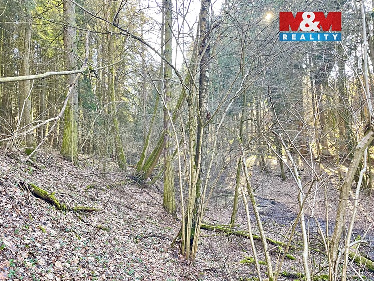 Prodej  lesa 4 113 m² - foto 4