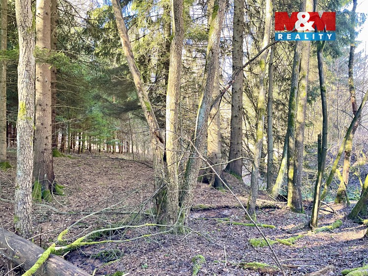 Prodej  lesa 4 113 m² - foto 5