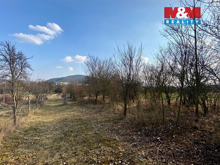 Prodej  zahrady 2 564 m² - foto 4