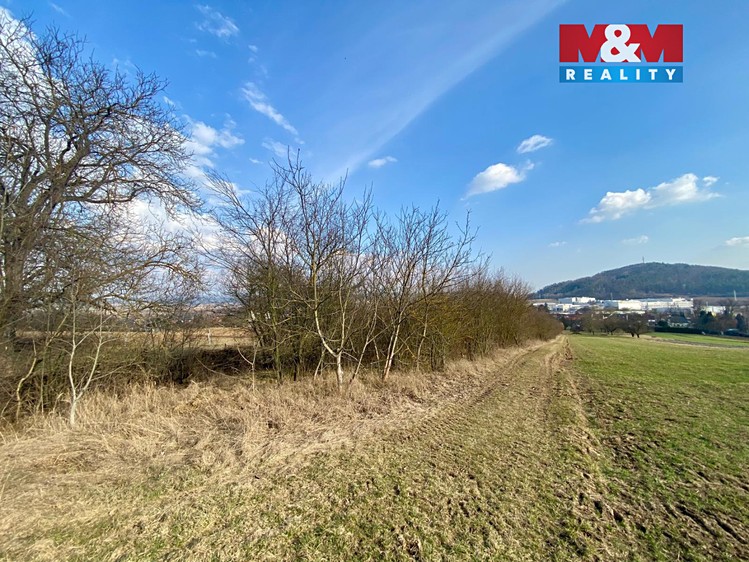 Prodej  zahrady 2 564 m² - foto 3
