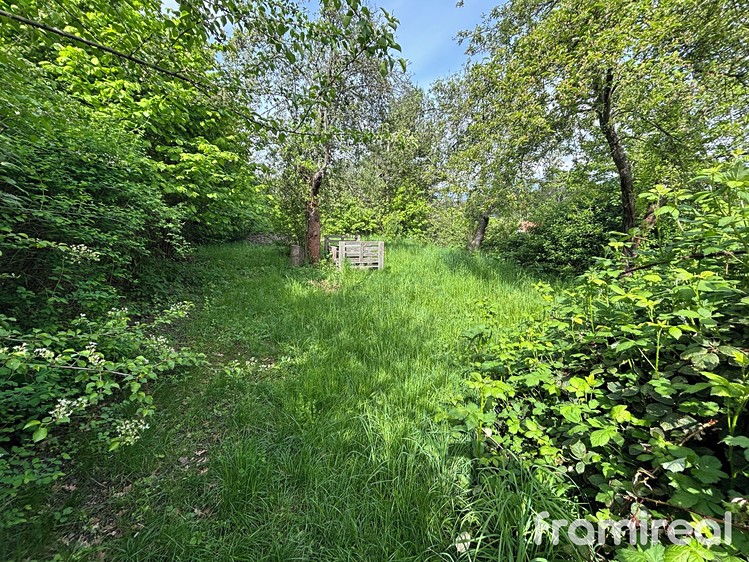 Prodej zahrady 760 m² - foto 6