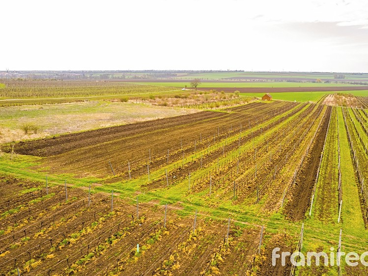 Prodej stavebního pozemku 2 723 m² - foto 1
