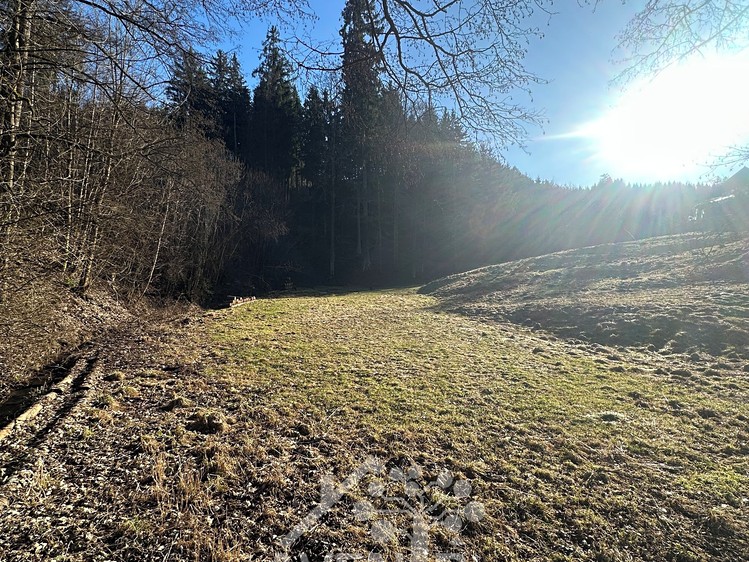 Prodej  louky 5 815 m² - foto 3