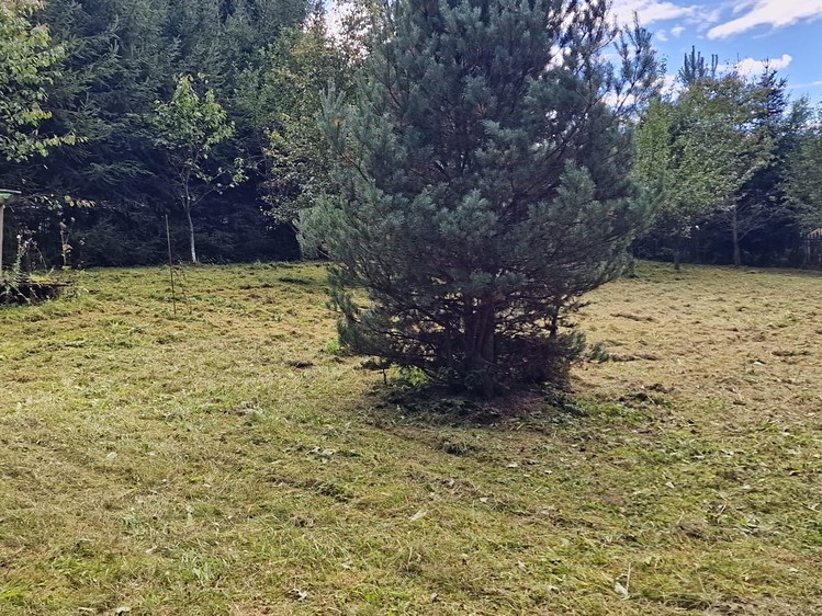 Prodej  stavebního pozemku 1 832 m² - foto 6