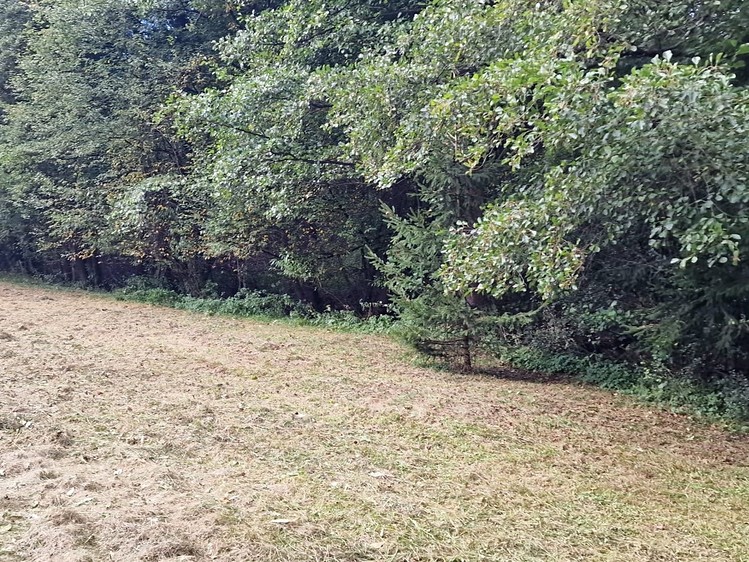 Prodej  stavebního pozemku 1 832 m² - foto 5