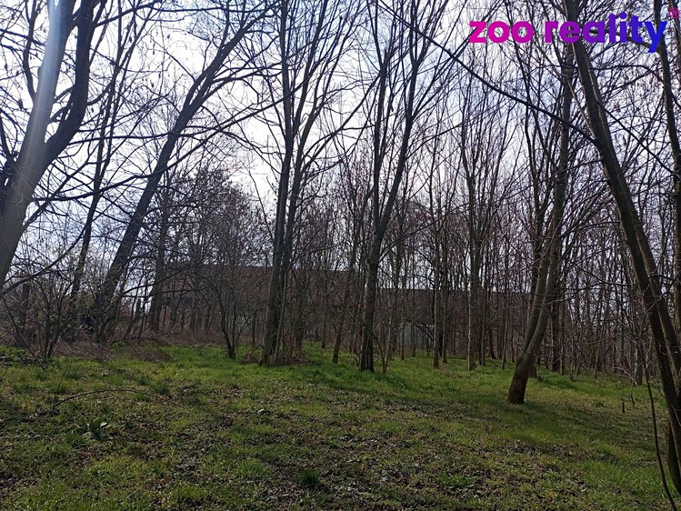 Prodej  stavebního pozemku 4 338 m² - foto 3