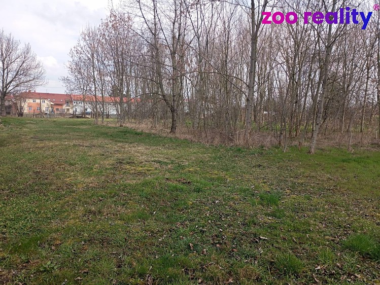 Prodej  stavebního pozemku 4 338 m² - foto 5