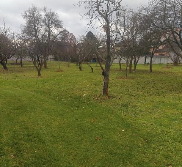 Prodej stavebního pozemku 8 219 m² - foto 1
