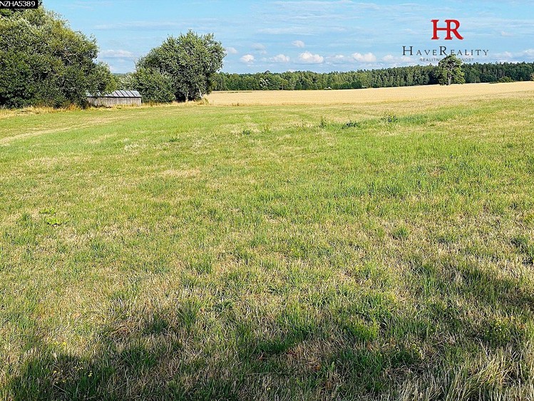 Prodej  stavebního pozemku 9 006 m² - foto 8