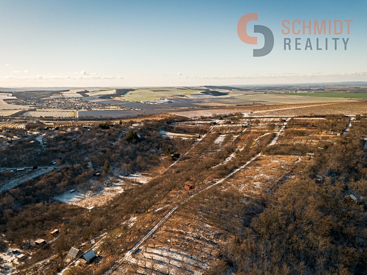 Prodej sadu, vinice 2 896 m² - foto 2