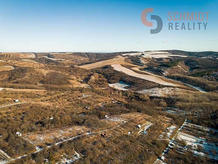 Prodej sadu, vinice 2 896 m² - foto 1