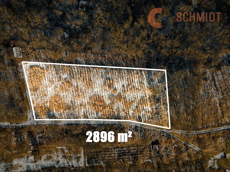 Prodej sadu, vinice 2 896 m² - foto 4