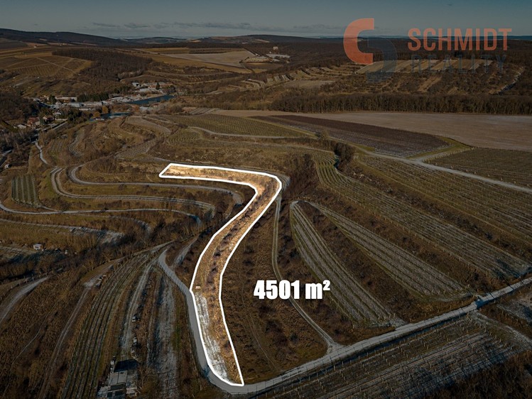 Prodej sadu, vinice 4 556 m² - foto 2