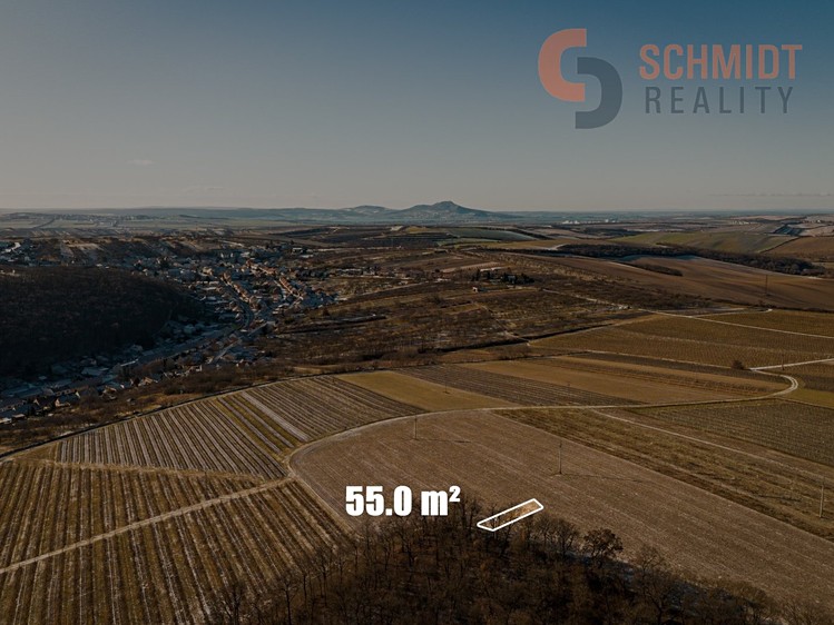 Prodej sadu, vinice 4 556 m² - foto 6