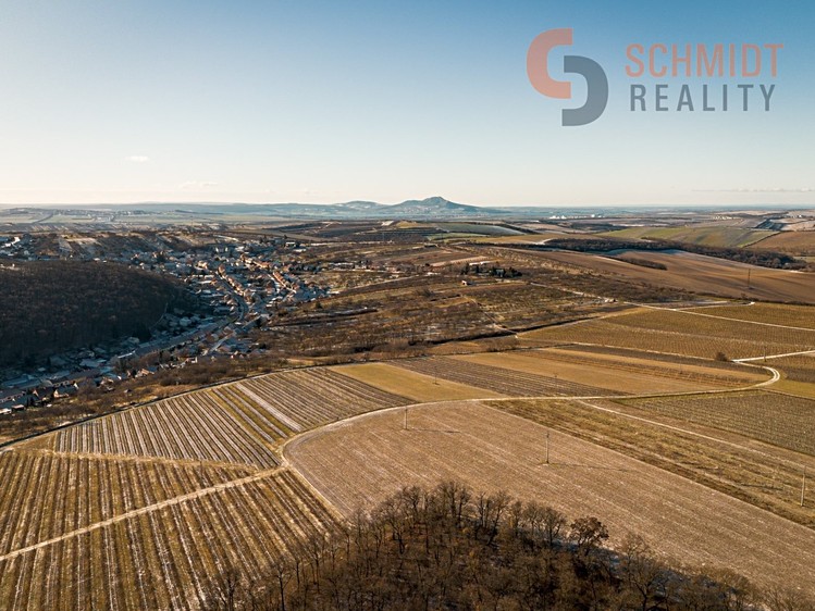 Prodej sadu, vinice 4 556 m² - foto 5