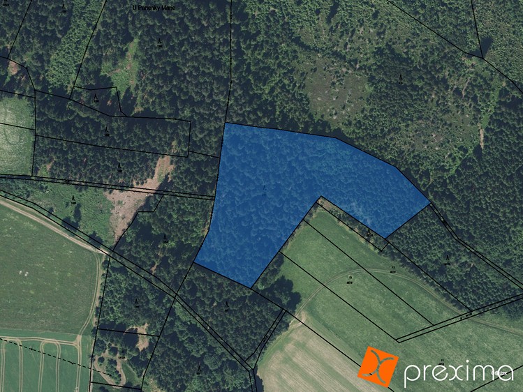 Prodej podílu 1/6 lesa 2 640 m² - foto 1