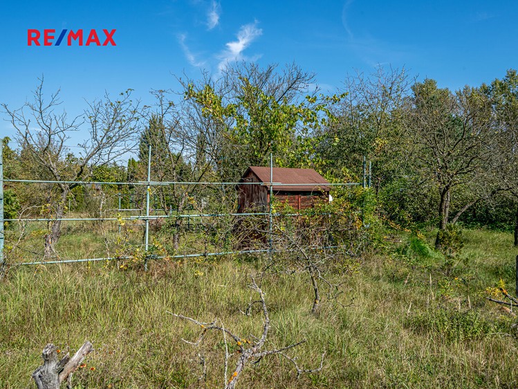 Prodej  zahrady 798 m² - foto 4