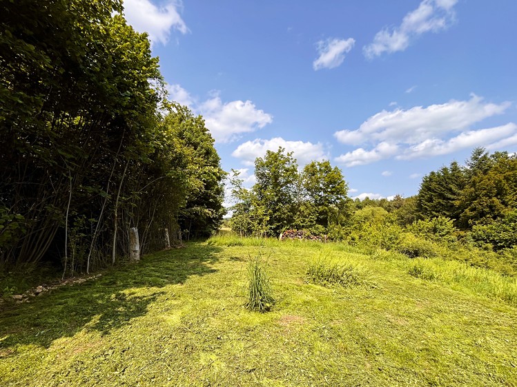 Prodej stavebního pozemku 3 226 m² - foto 6