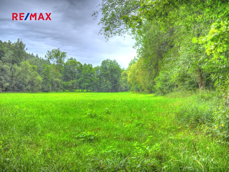 Prodej louky 1 798 m² - foto 4