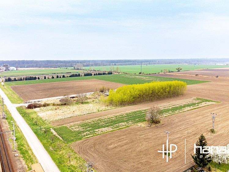 Prodej komerčního pozemku 5 439 m² - foto 7