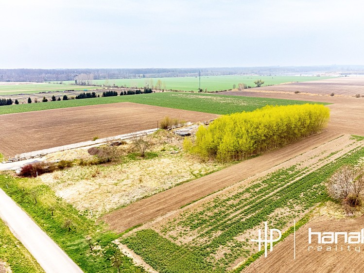 Prodej komerčního pozemku 5 439 m² - foto 8