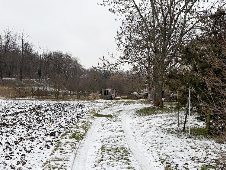 Prodej stavebního pozemku 1 522 m² - foto 7