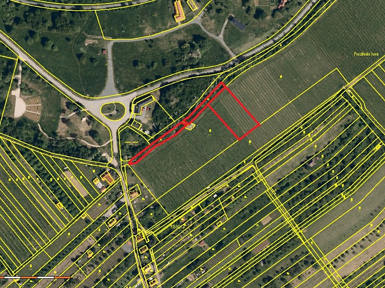 Prodej sadu, vinice 2 877 m² - foto 1