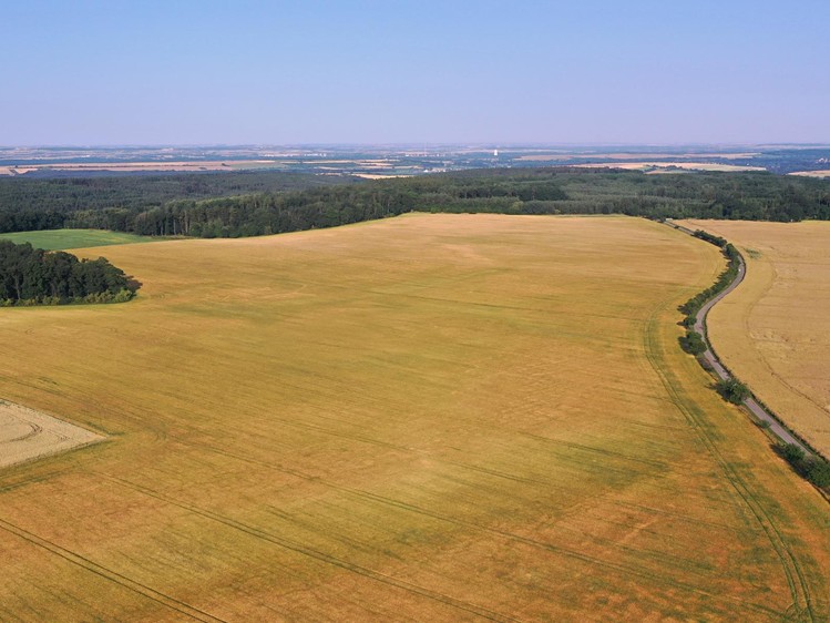 Prodej  pole 27 919 m² - foto 3
