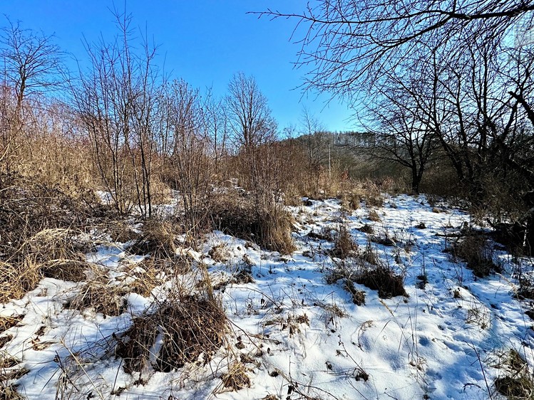 Prodej stavebního pozemku 1 845 m² - foto 6