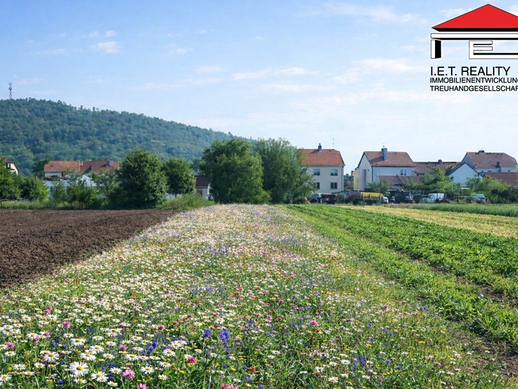 Prodej stavebního pozemku 2 635 m² - foto 1