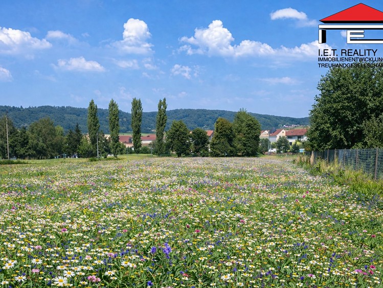 Prodej stavebního pozemku 2 635 m² - foto 2