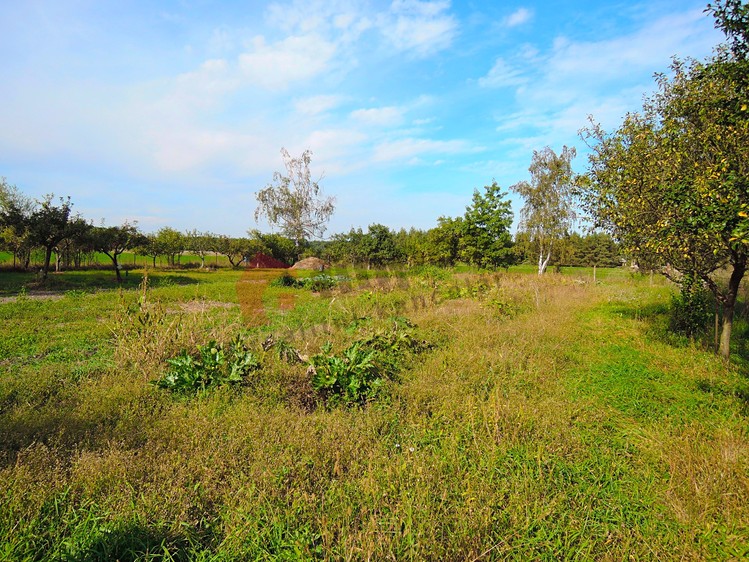 Prodej stavebního pozemku 1 787 m² - foto 5