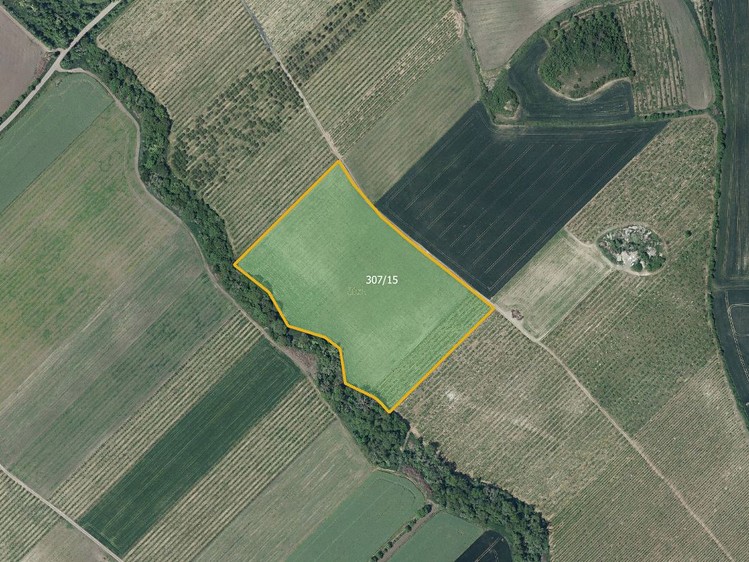 Prodej sadu, vinice 42 369 m² - foto 1