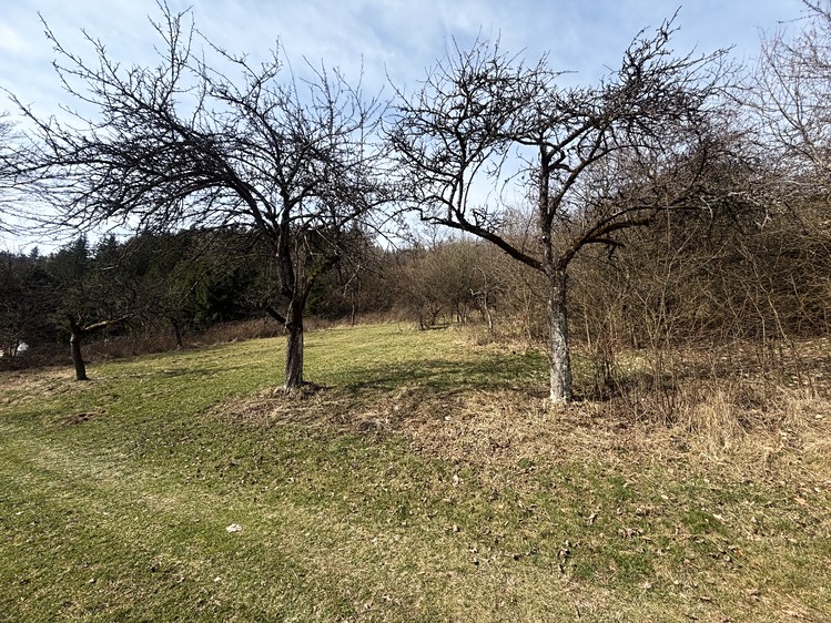 Prodej zahrady 12 361 m² - foto 2