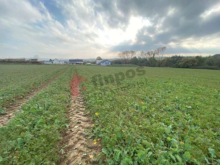Prodej pozemku 1 000 m² - foto 7