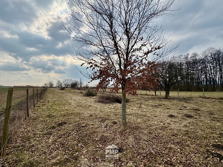 Prodej louky 3 195 m² - foto 4