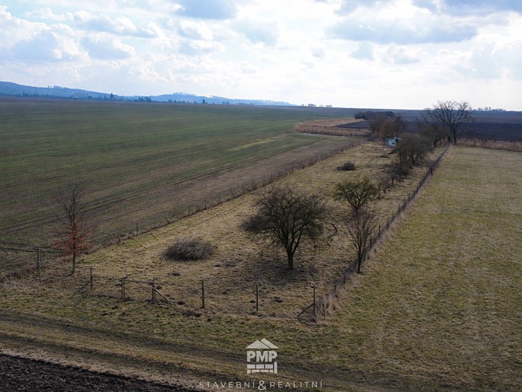 Prodej louky 3 195 m² - foto 5