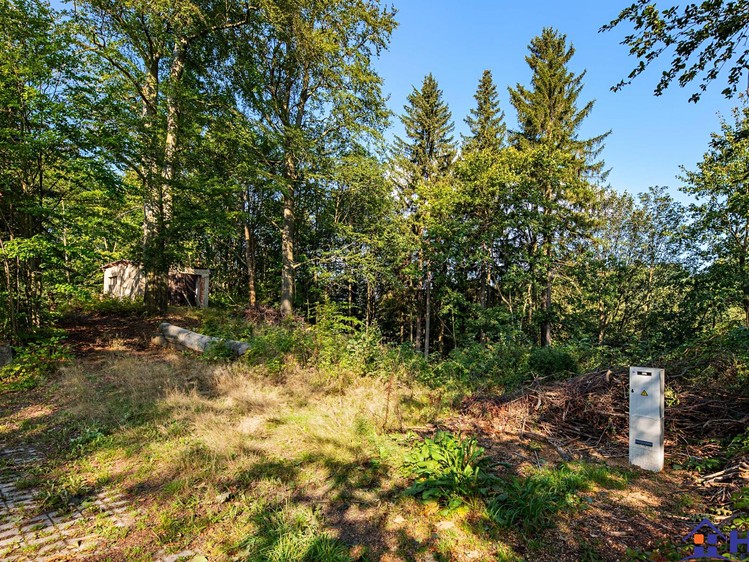 Prodej stavebního pozemku 1 667 m² - foto 8