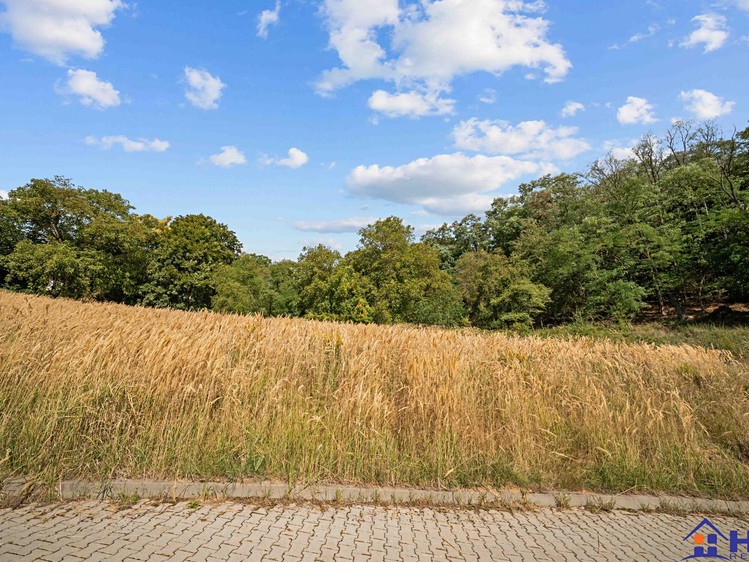 Prodej stavebního pozemku 1 391 m² - foto 8