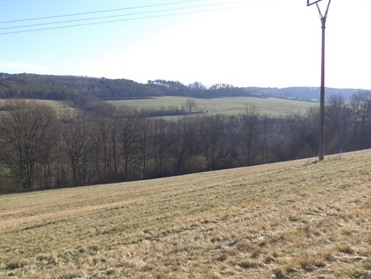 Dražba louky 21 164 m² - foto 1