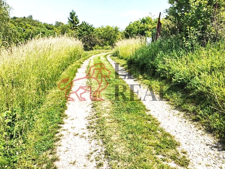 Prodej  zahrady 595 m² - foto 4