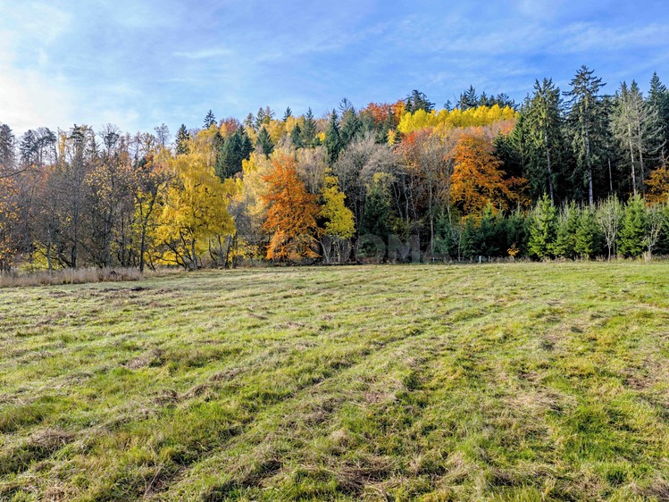 Prodej stavebního pozemku 1 931 m² - foto 3
