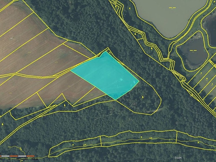 Prodej podílu 1/2 pole 7 251 m² - foto 4